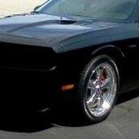 Meet your Posher, Steve - Picture 1 of 1